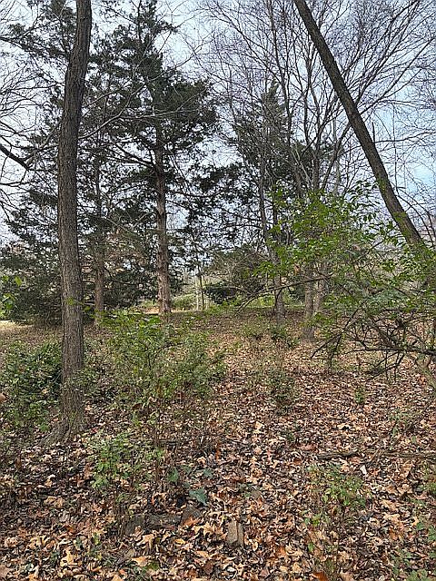 1st image of 0 E Heath Dr