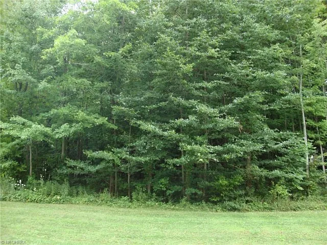 1193 Harper Valley Ln photo 1