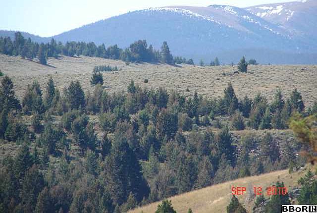1st image of 2 Tbd Hwy W