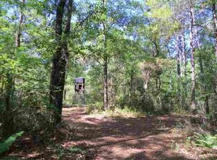 Vacant Sw Captain Brown Rd, Madison, FL 32340