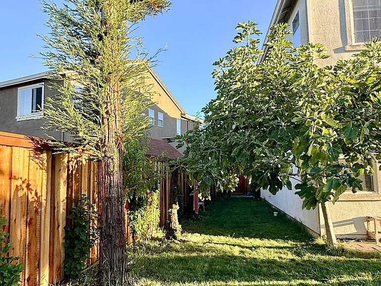 Landscaped backyard with mature trees