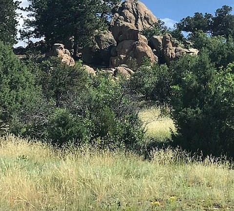 5th image of 133 White Cloud Dr