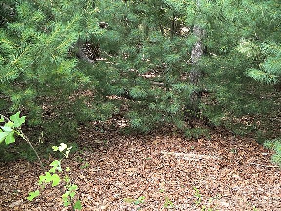 2nd image of 27 Dividing Ridge Trl #14