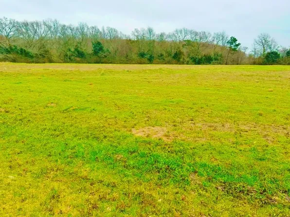 0 N County Road 49, Slocomb, AL 36375