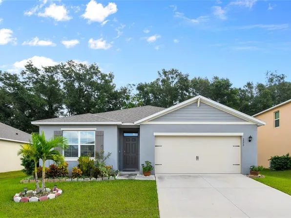 3573 Crimson Clover Dr, Mount Dora, FL 32757