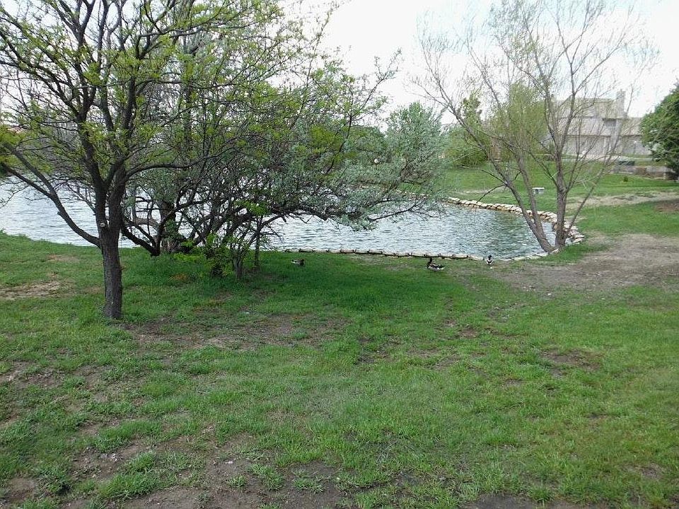 Backs to Lake