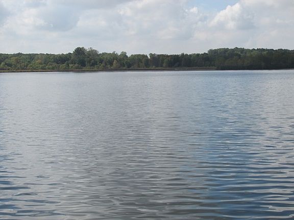 201546042_1