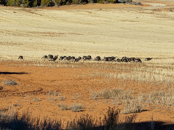 Img 3518 Lockerbyroadranch Lr Wm