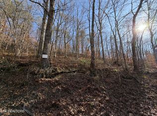 Avondale Hollow Rd, Rutledge, TN 37861