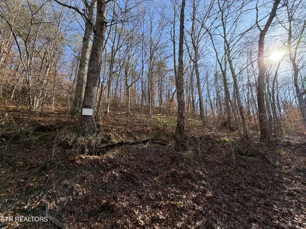 Avondale Hollow Rd, Rutledge, TN 37861