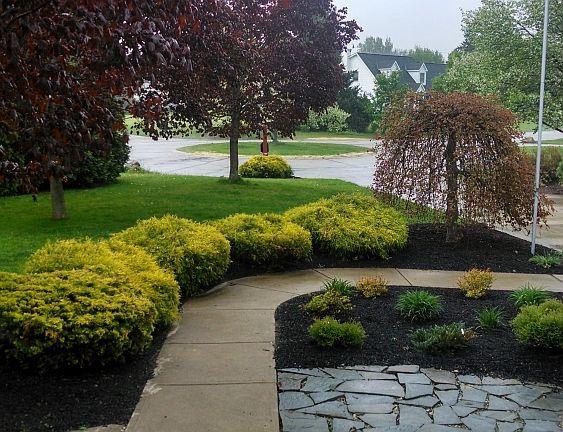 2nd image of 3748 Leisurewood Ln