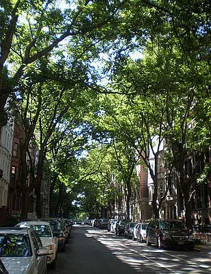 Rented by Camhi NYC Realty Inc | media 22