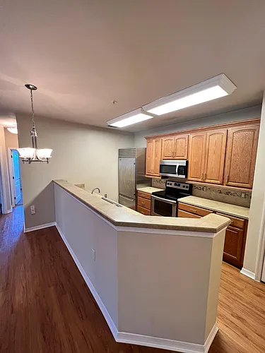 1410 Villa Capri Cir #306 Photo 1