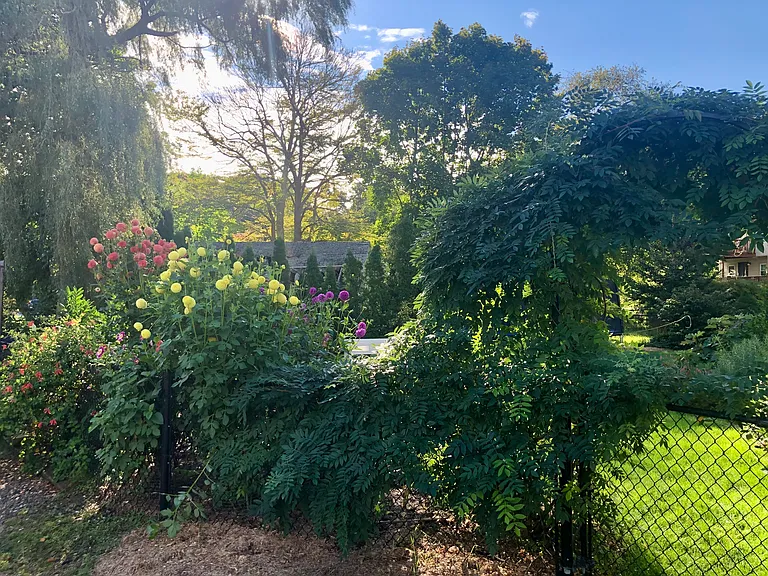 5 High Street Ct — Photo 31