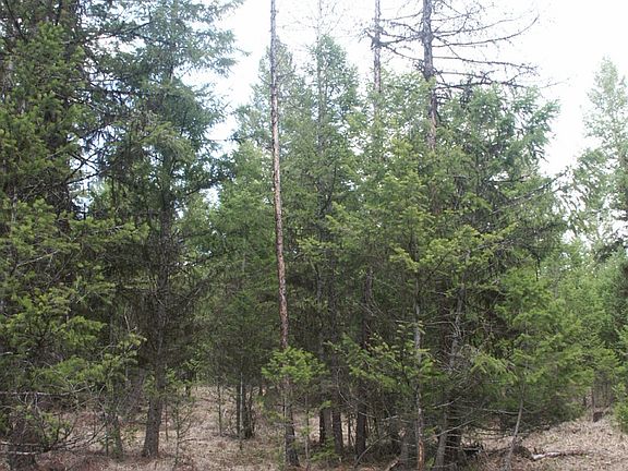 5th image of Nhn Slick Gulch Rd