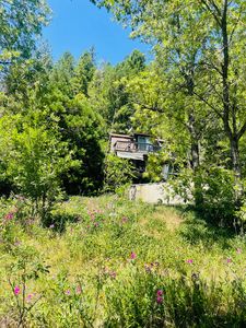 826 Ulrich Rd, Prospect, OR, 97536