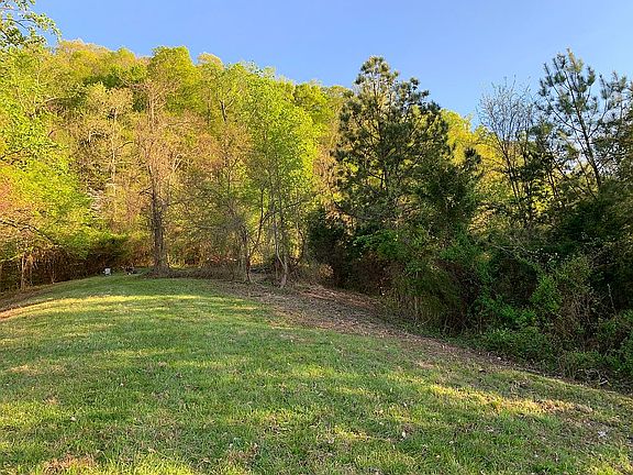 Woods on 3 sides