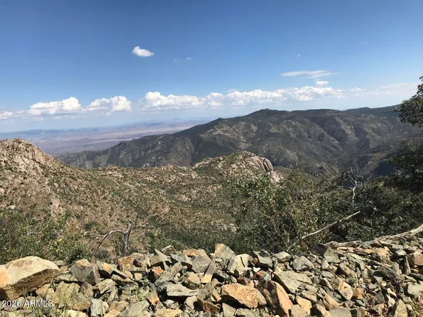 22431 S GLADIATOR MINE Road #-, Crown King, AZ 86343