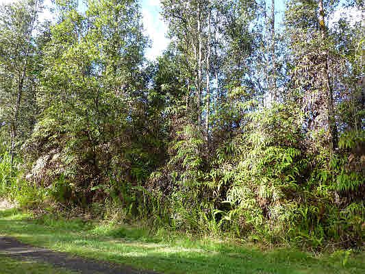 2nd image of Hawaii Rd Lot 232