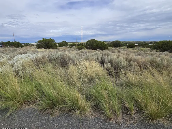 74 Alpine Ln, Concho, AZ 85924