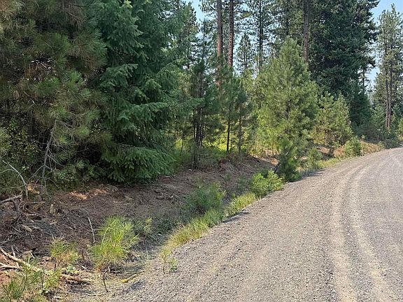 2nd image of Tbd West Pine Dr