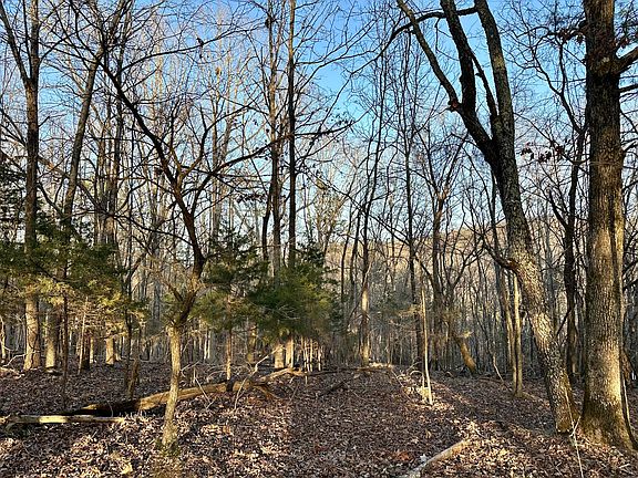 5th image of 000 Brown Road Lot