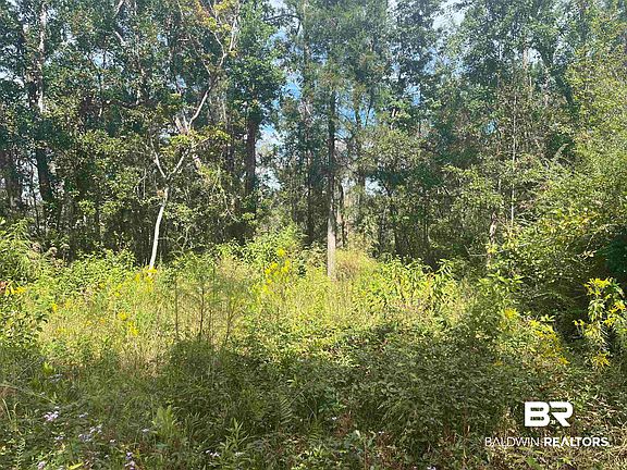4th image of 24875 Miflin Rd