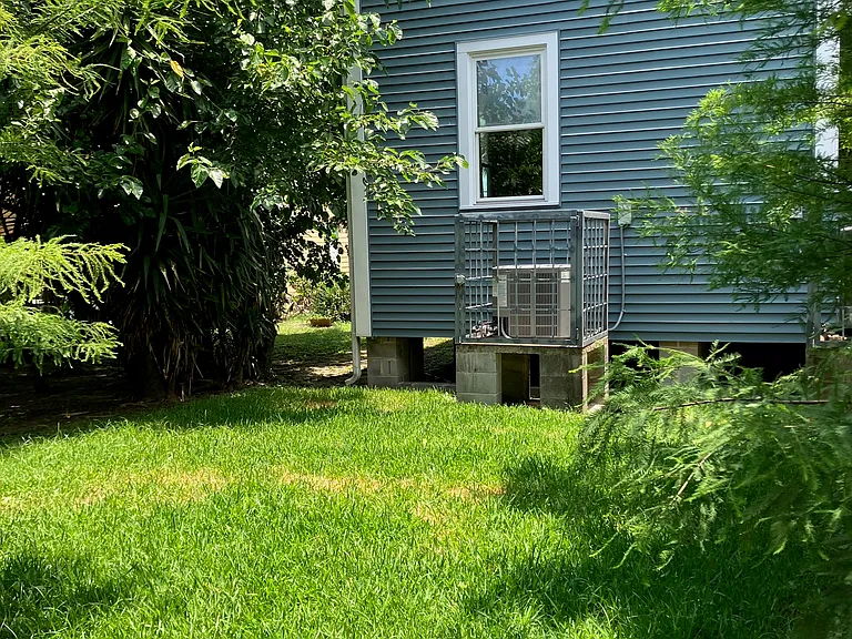 Large shaded backyard