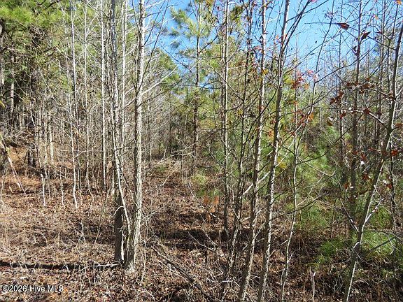 3rd image of 8.3 Acres Glory Light Road