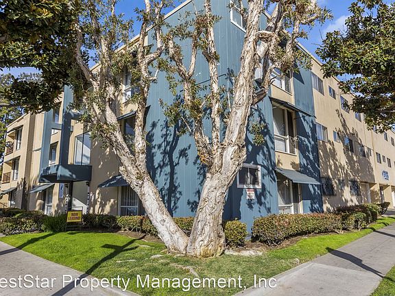 3rd image of 800 Linden Ave APT 8