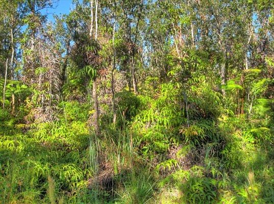 2nd image of Noe Kuahiwi Lot 32