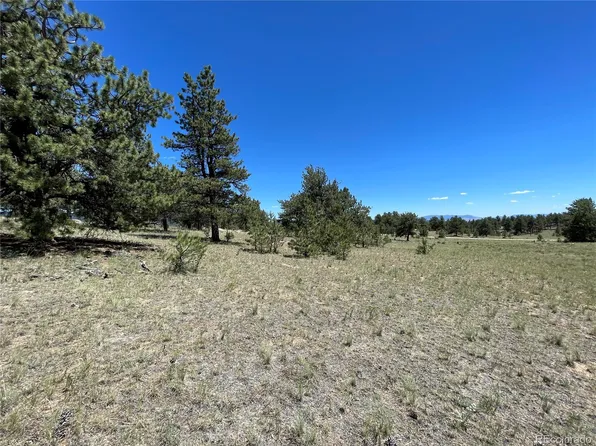 359 JASPER Way LOT 321, Hartsel, CO 80449