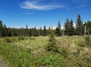 17630 Kimeluk St, Ninilchik, AK 99639