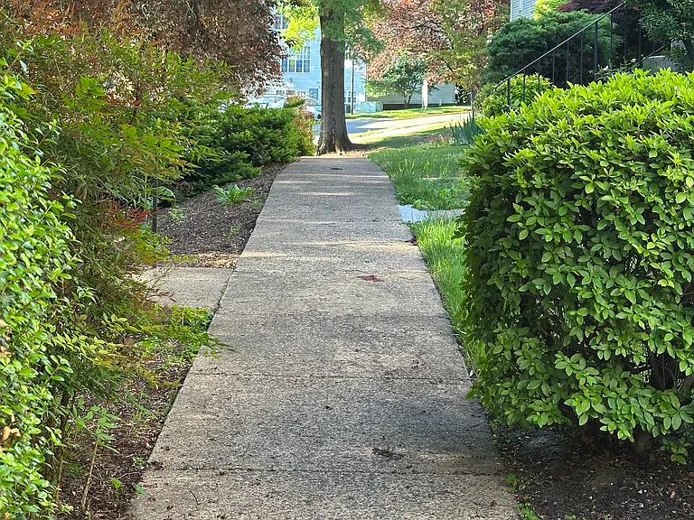Wedgeway Ct — Photo 22
