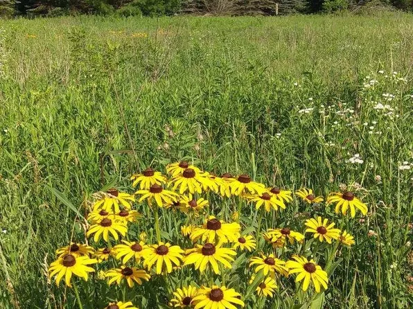 1547 120th Ave, Amery, WI 54001