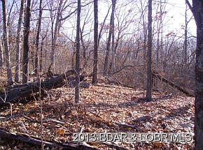 3rd image of Bloomington Dr