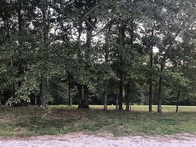 1st image of 440 County Road 575