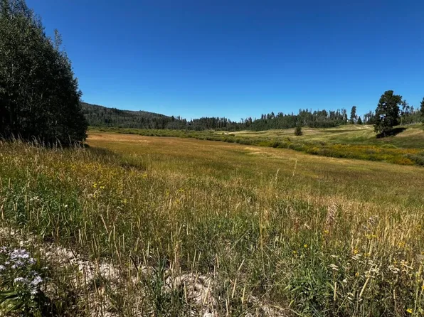 32625 Colt Trail, Oak Creek, CO 80467