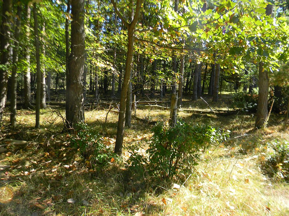 2nd image of 11682 Red Feather Ln