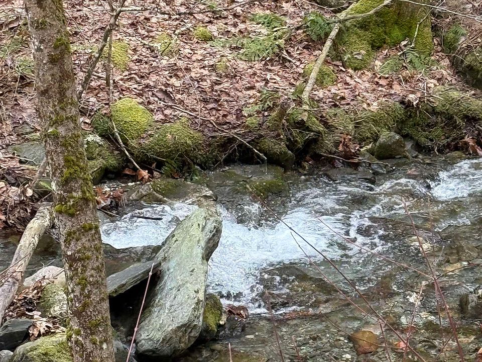 1st image of 3465 Lamb Hill Road