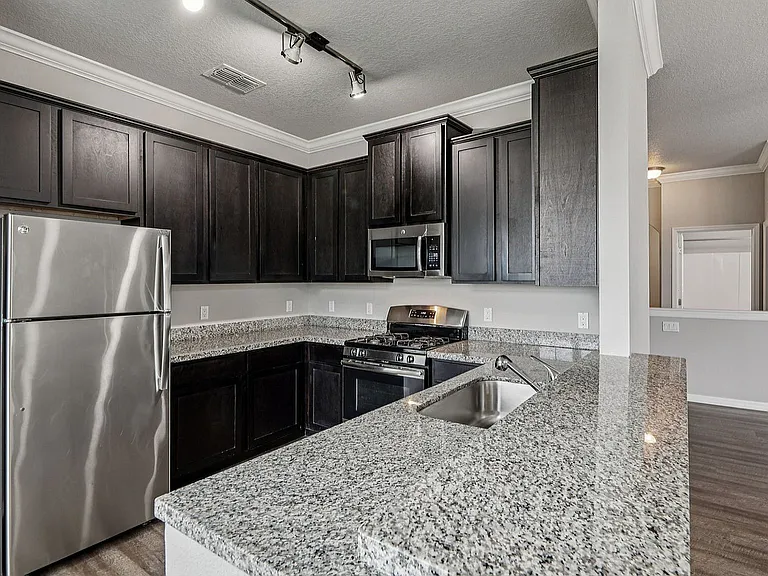 Modern kitchen with sleek granite countertops, stainless steel appliances, and dark wood cabinetry, perfect for culinary enthusiasts.