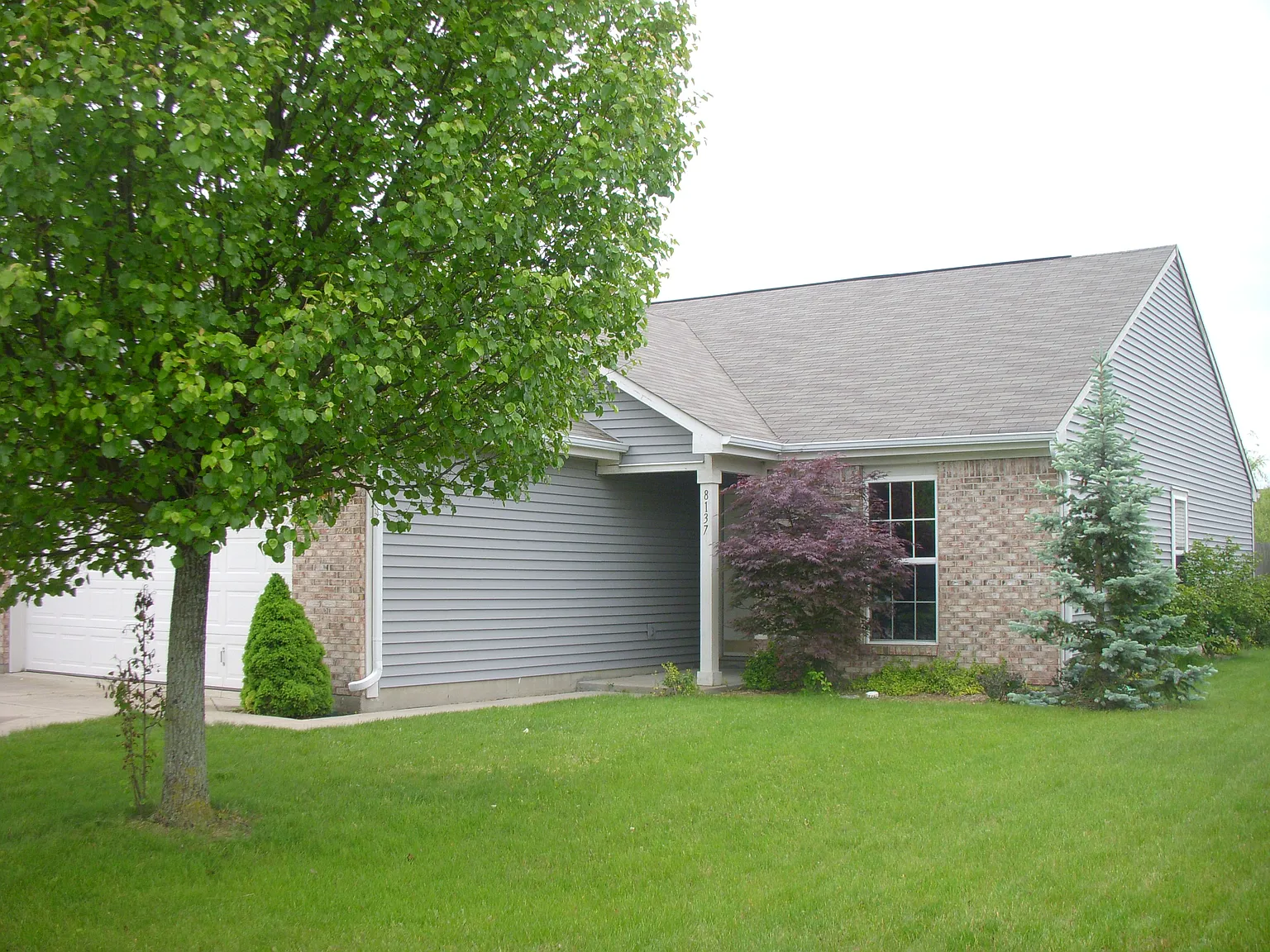 8137 Sydney Ln photo 1