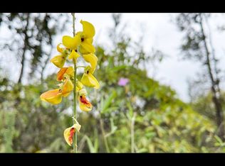 37 Avenue, Kurtistown, HI 96760