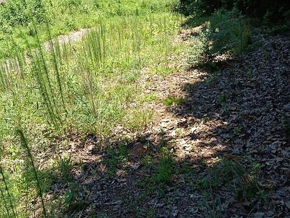 2nd image of 6035 Terrace Lake Poin Lot 44