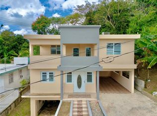 41 Calle 11, San Lorenzo, PR 00754