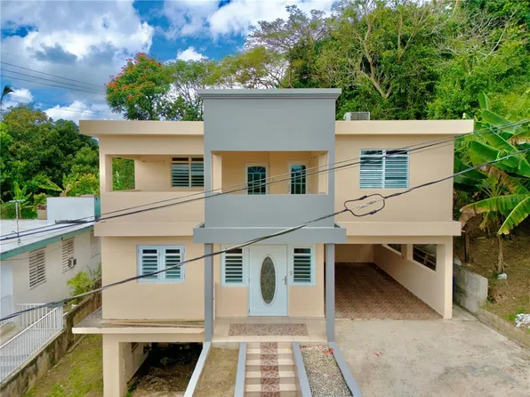 41 Calle 11, San Lorenzo, PR 00754