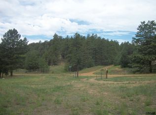 1386 Arnold Dr, Cotopaxi, CO 81223