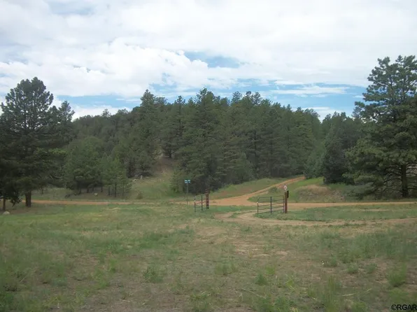 1386 Arnold Dr, Cotopaxi, CO 81223