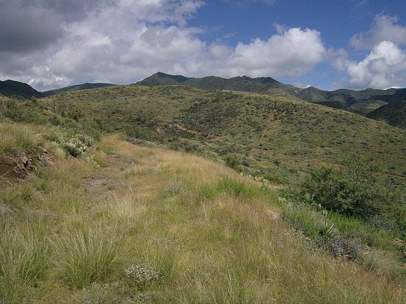 5th image of 24255 S Placer Gold Lane