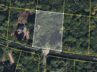 14 Bristenstock Dr, Madison, NH 03849